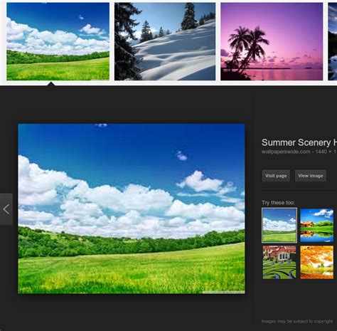google images image preview